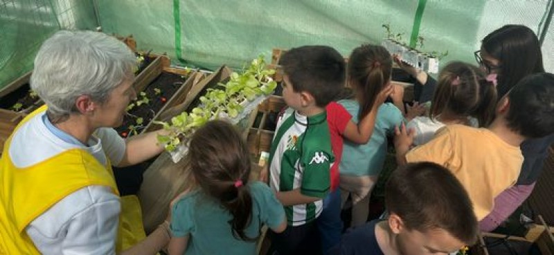 El huerto escolar vuelve a ponerse en marcha
