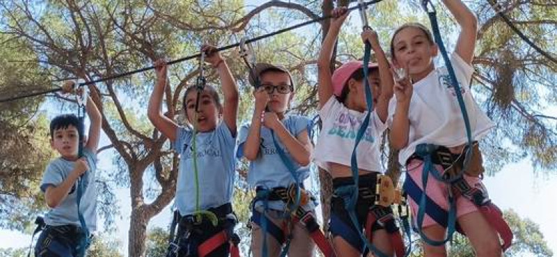 Excursión al Bosque Suspendido de Bollullos de la Mitación